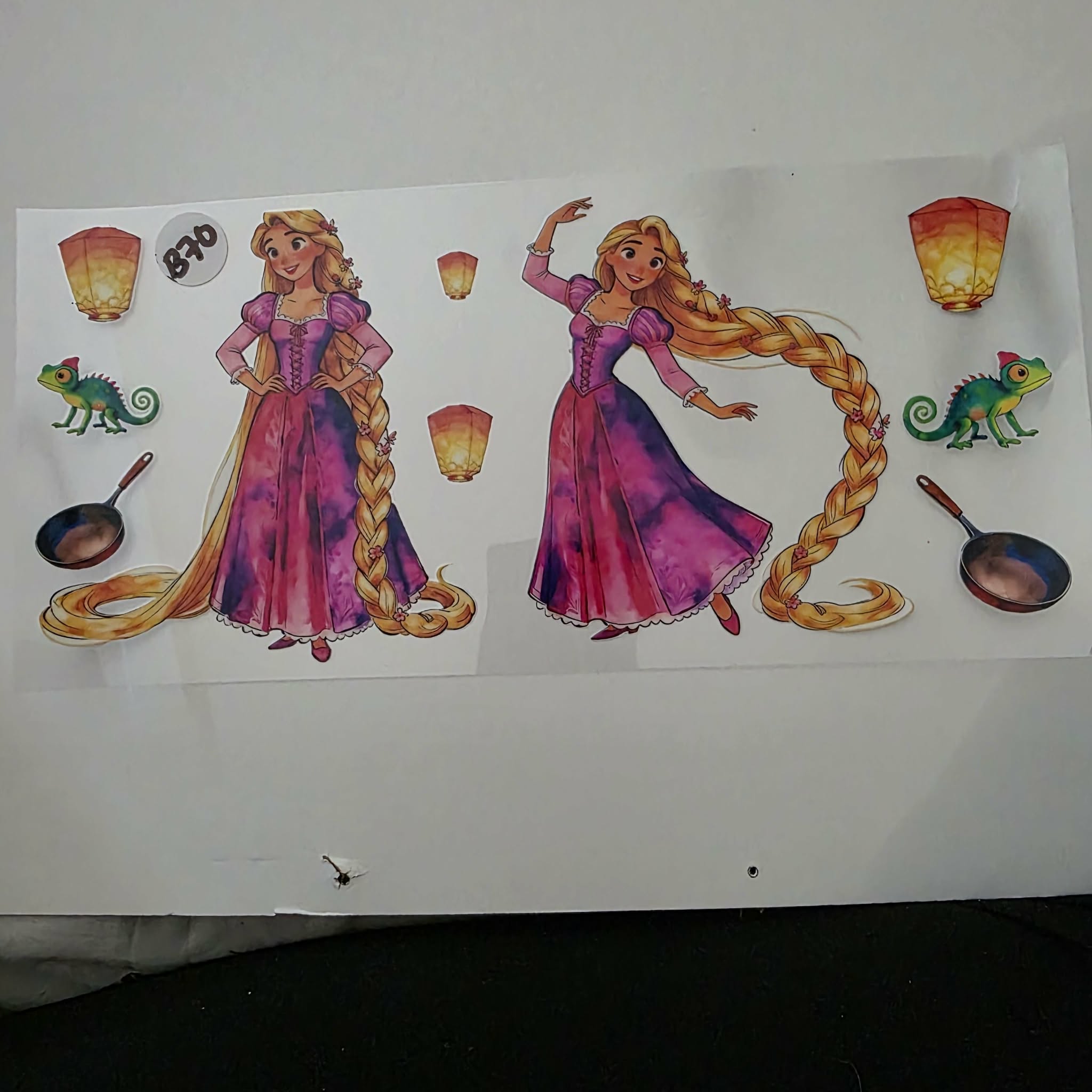 PRINCESS B70